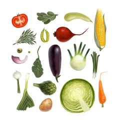 Hand-drawn vegetables, isolated on transparent background: tomato, spinach, vegetable marrow, corn, rosemary, green peas, beet, olive, artichoke, eggplant, salad, fennel, onion, leek, potato, carrot