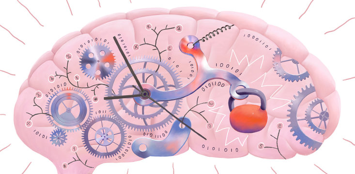 The illustration of a brain representing metaphor of delayed information © grivina