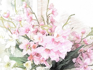 Pink orchid pencil color sketch