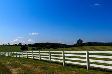 Fototapeta na wymiar Farm in Maryland with freshly painted white fence