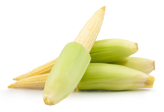 Baby Corn Isolated