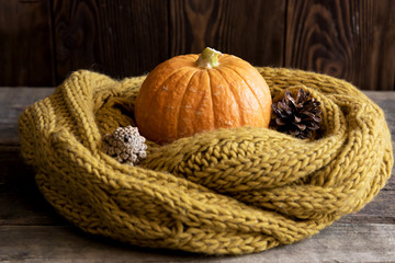 One beautiful pumpkin and wool scarf