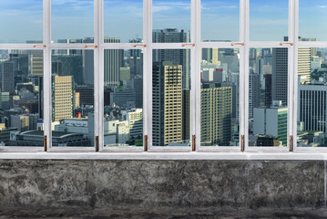 view Tokyo Skyline, Cityscape of Tokyo City, Japan  from white A