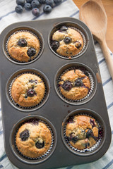 Blaubeer Muffins 