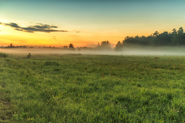 Obraz na płótnie Canvas Fog covers the fields in evening