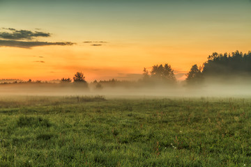 Fog covers the fields