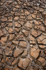 dry cracks in the land