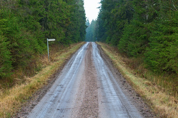Fototapeta na wymiar Dirt road in the forest