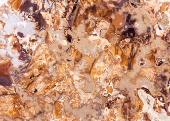 Natural marble texture. Marbled surface. Granite pattern. Stone background.