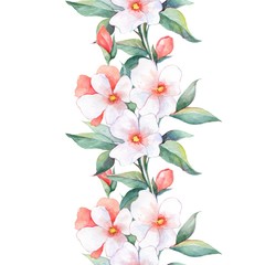 White flowers. Watercolor floral background. Seamless border