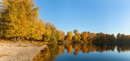 Reflection of autumn forest in the water