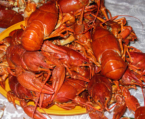 Many cooked crayfish on a plate. River delicatessen