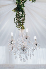 Crystal chandelier is decorated with green branches hanging in the hall for wedding party