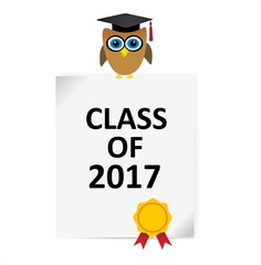 graduation diploma and owl - class of 2017