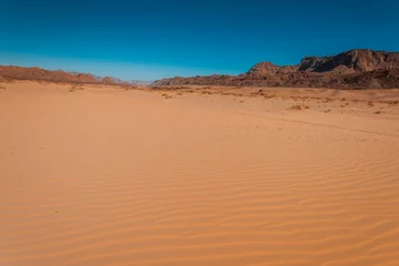 Zelfklevend Fotobehang Sinai desert landscape © Kotangens