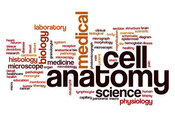 Cell anatomy word cloud