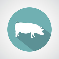 pig icon