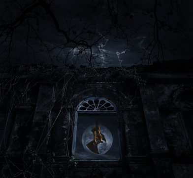 Bat scream and hang on old ancient window castle over dead tree,