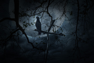 Seagull bird stand on wood cross over dead tree, moon and cloudy