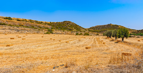 Round bales of hay in the mountain fields. Cyprus