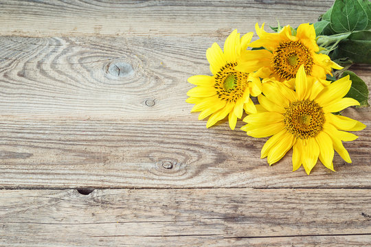 Background with yellow sunflowers on old wooden boards.