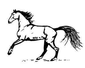 Obraz na płótnie Canvas Figure of a galloping horse