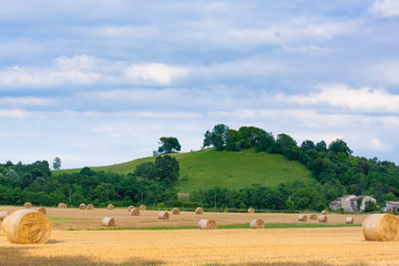 Fototapeta na wymiar Italian countryside panorama. Round bales on wheat field