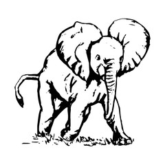 Little elephant pattern