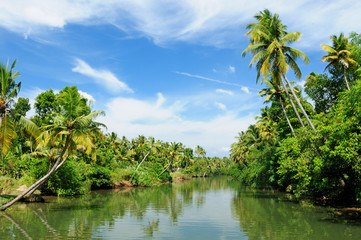 Obraz premium India, Kerala canal