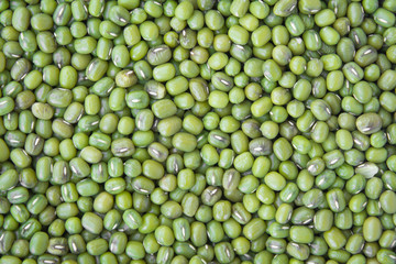 Green beans texture background.