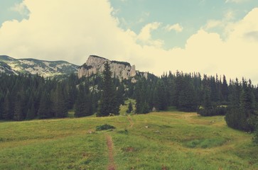 Idyllic landscape in the mountains with hiking path; green fields and pines; nature. Image filtered in faded, nostalgic, retro, Instagram style. Black lake, Durmitor, Montenegro. - 119206207