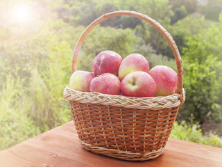 apples in a basket on wooden table against garden background at sunny day