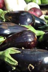 Eggplants at the market