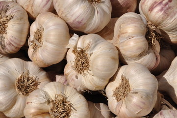 Bunch of dried garlic at market