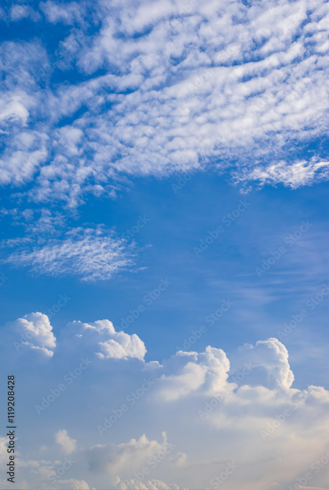 Wall mural beautiful sky with clouds vertical background.