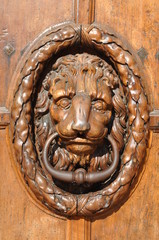 Closeup liion head door knocker