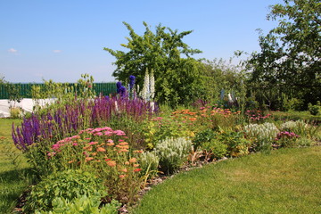 Colorful blooming cultivar flowers in the summer flowerbed © argot