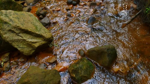 Stream water full of red ferric sediments. Cascades in stream, mossy boulders and terrible smell red mud. Bubbles of gas, stalk of fern and grass. Obscene destruction of the environment and nature