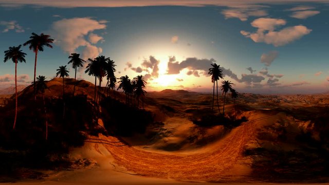 panoramic of palms in desert at sunset. made with the one 360 ??degree lense camera without any seams. ready for virtual reality