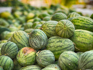 rotten watermelon bad smell, lots of. HDR processing effect.
