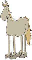 Beige horse