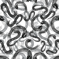 Vector seamless hand drawn pattern with black snakes on white background.