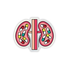 Kidneys organ and medicine illustration with capsules inside it. Vector illustration EPS 10