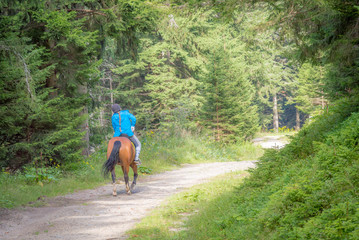 Girl Riding a brown Horse