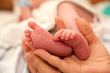 Obraz na płótnie Canvas Infant heels in mother's hand