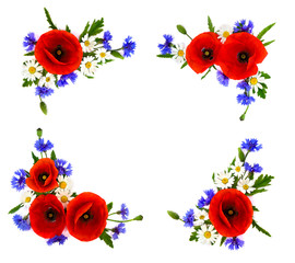 Fototapeta premium Frame of red poppies, cornflowers and chamomile on white background with space for text. Flat lay
