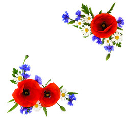 Naklejka premium Frame of red poppies, cornflowers and chamomile on white background with space for text. Flat lay