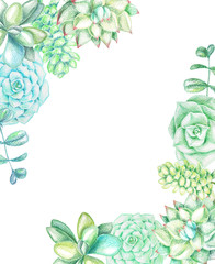 Background with succulents and plants
