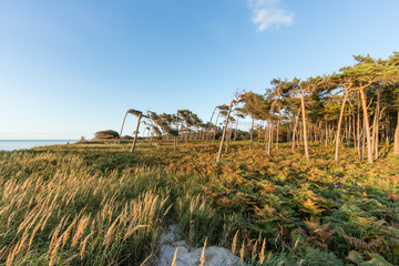 naturküsten