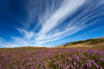 Fototapeta premium Higlands, Scotland